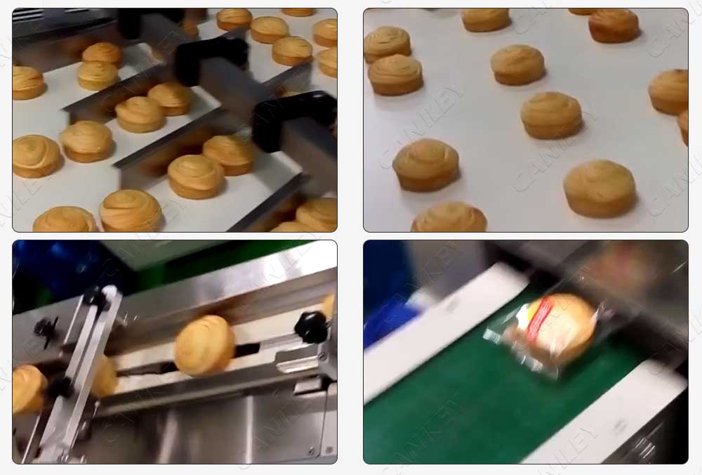 swiss roll packing machine factory