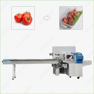 fruit packing machine