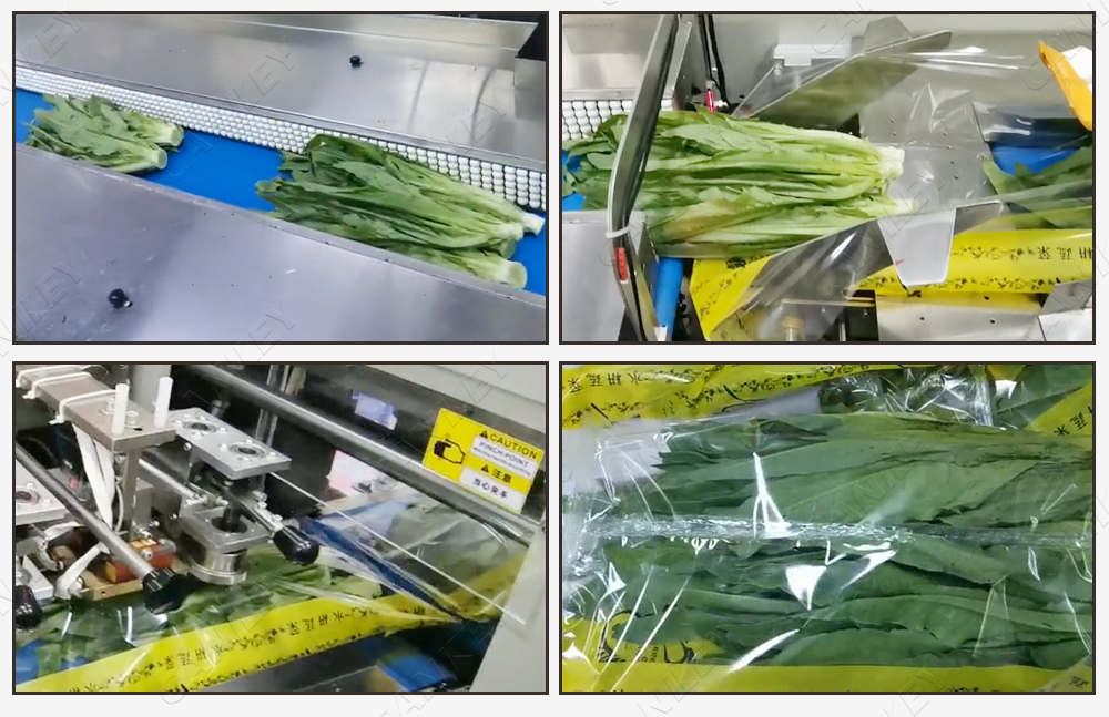 Veg table packing machine