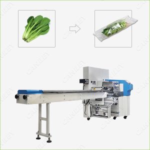 Vegetable packing machine