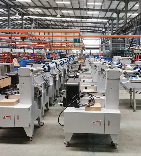 flow wrap machine factory
